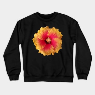 yellow red flower, hibiscus, flowers, blossom, Crewneck Sweatshirt